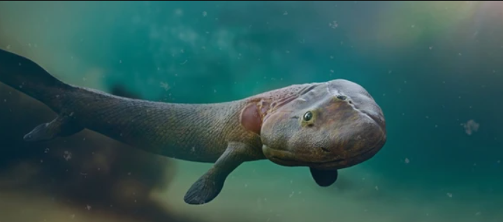 The Evolution of Fish: From Ancient Origins to Modern Diversity