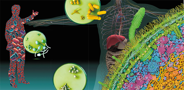 Microsciences in Medicine: The Impact of the Microbiome on Human Mental Health